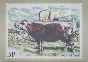 Laethanta na Bó Riabhaí